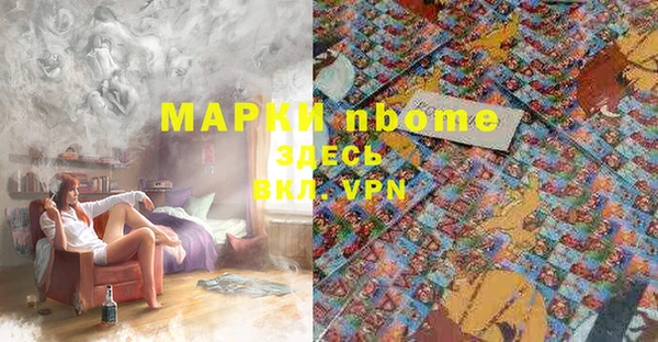 mdpv Богородск