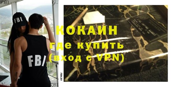 МДПВ Бородино
