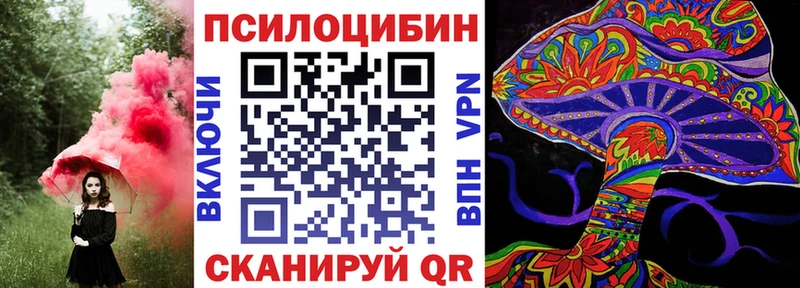 Купить  Приволжск  Галлюциногенные грибы мицелий 